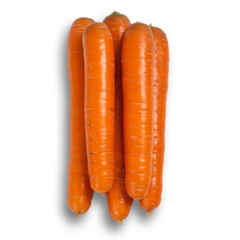 Насіння моркви Джерада (Jerada RZ) F1 Нантеc тип 90 дн.