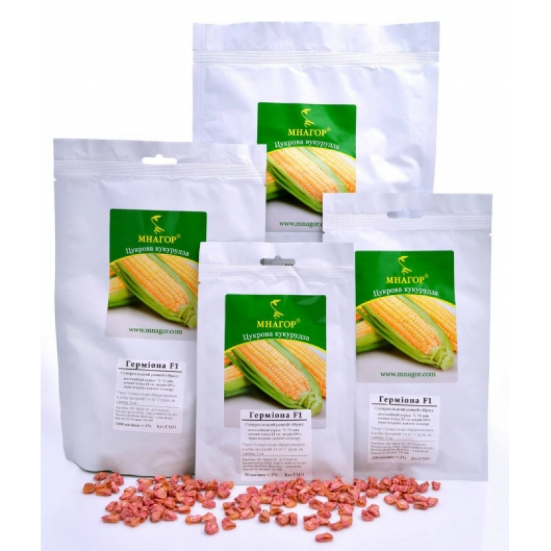Семена кукурузы сахарной Гермиона (Юрмала) F1 (ранний 71-73 дней)