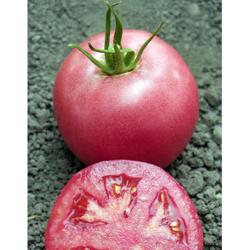 Семена томата Пинк Уникум F1 (Pink Unicum)